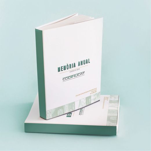 Odoo - Prova 1 a tres columnes