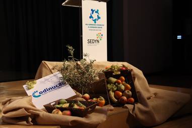  XIII Jornades CoDiNuCat III Jornades SEDYN